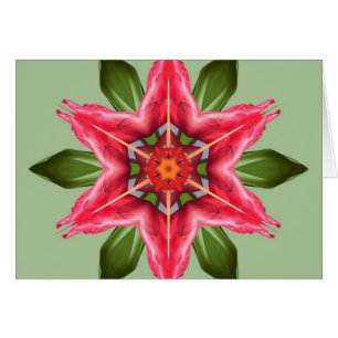 Tropical Flower