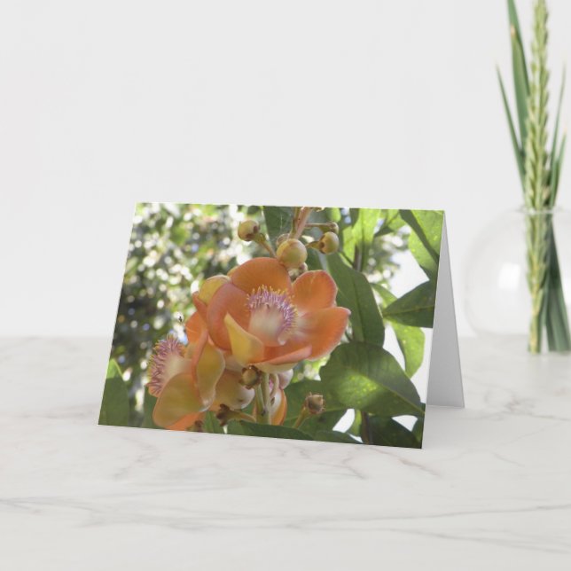 Tropical flower - Blank Card (Front)