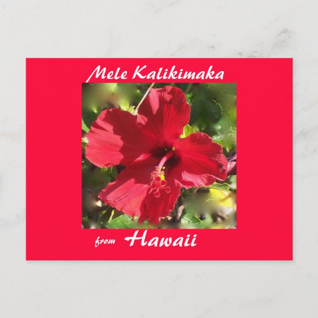 Tropical Flower Christmas photo card (Front)