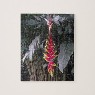 Tropical Flower Jigsaw Puzzle