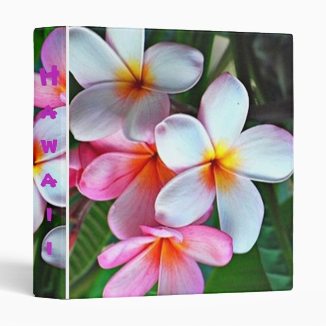 Tropical flowers binder (Front/Spine)