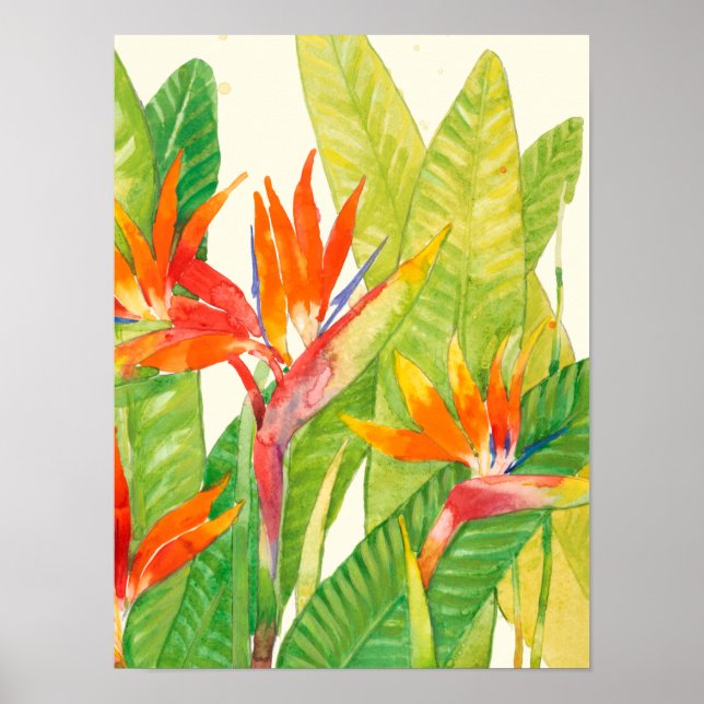 Tropical Flowers | Bird of Paradise Poster (Front)