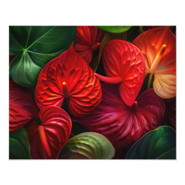 Tropical Flowers Photo Print (Front)