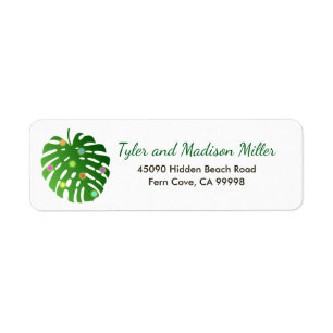 Tropical Foliage Lights Beach Christmas Holiday