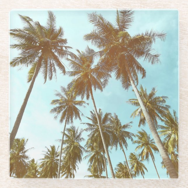 Tropical Frame: Abstract Palm Trees Glass Coaster (Front)