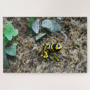 Tropical Frogs. Jigsaw Puzzle