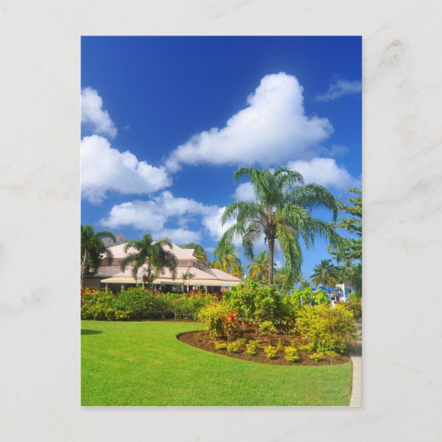 Tropical garden postcard (Front)