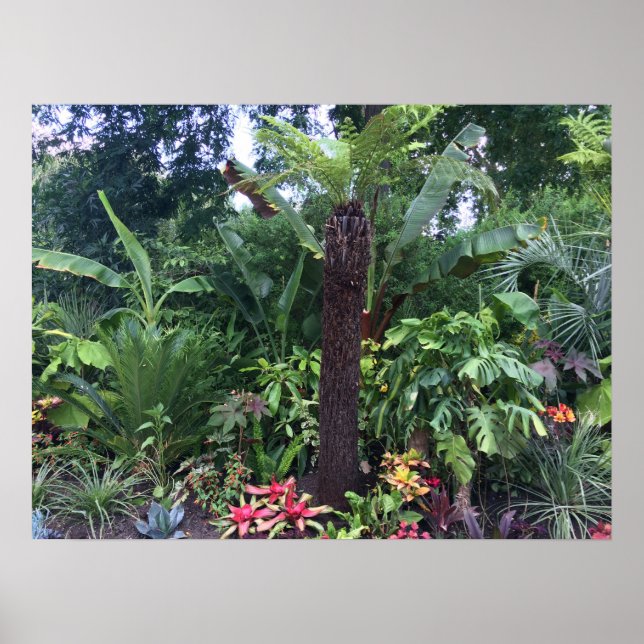 Tropical Garden Poster (Front)