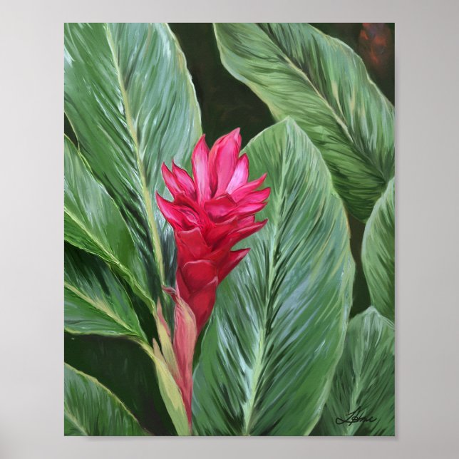Tropical Ginger Flower Poster (Front)