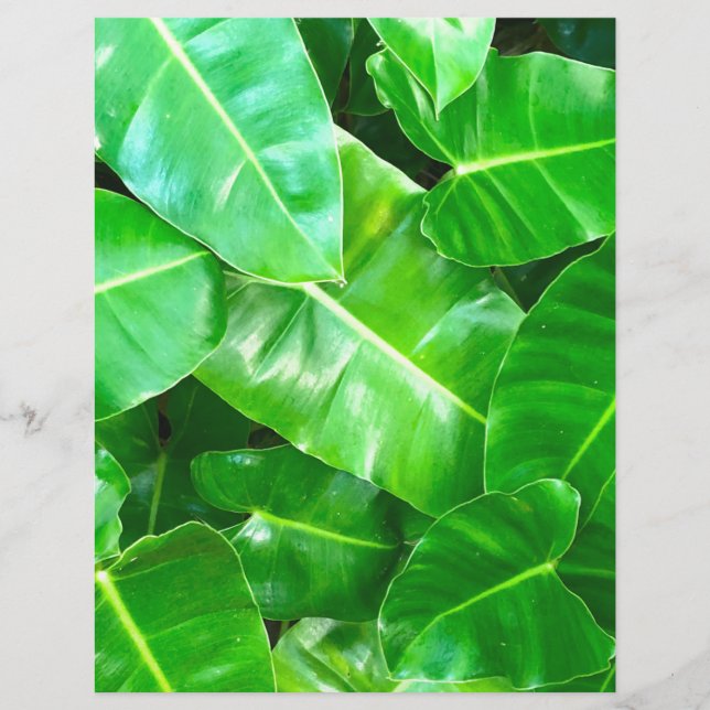 Tropical Green Foliage (Front)