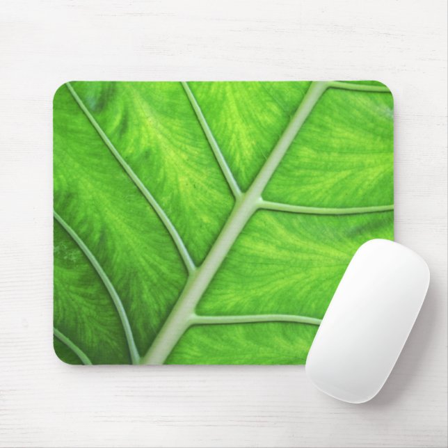 Tropical Green Leaf Texture Spa Zen Nature Photo Mouse Pad (With Mouse)