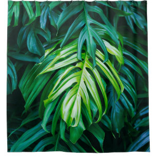 Tropical green leaves on dark background, nature s