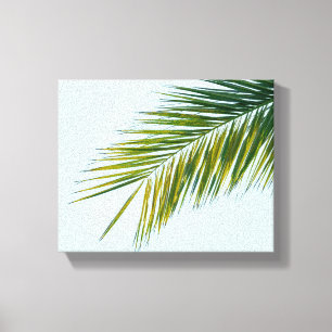 Tropical Green Palm Frond on Light Blue Canvas Print