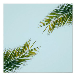 Tropical Green Palm Frond on Light Blue Poster