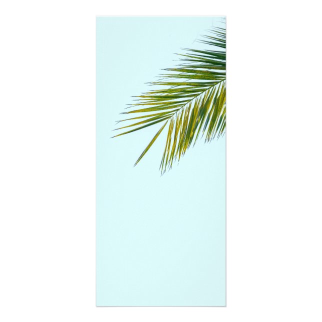 Tropical Green Palm Frond on Light Blue Rack Card (Front)
