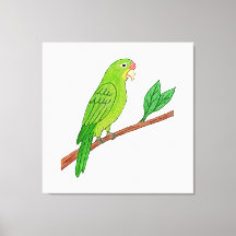 Tropical green parakeet