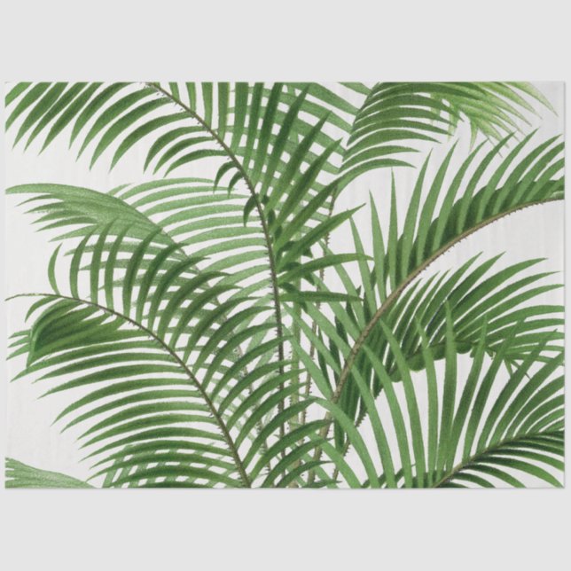 Tropical Greenery Watercolor Palm Tree Leaves   Tissue Paper (Front)