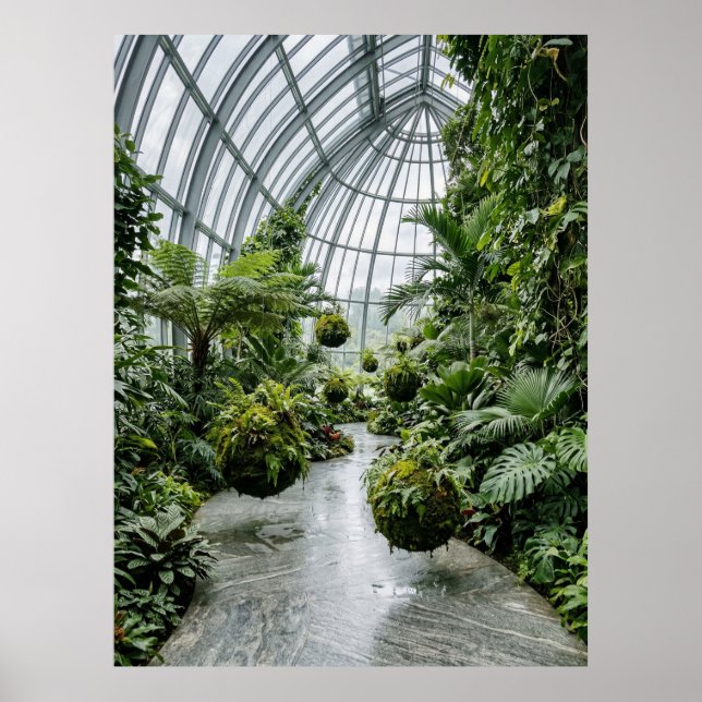 Tropical Greenhouse Jungle Path Poster (Front)