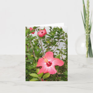 Tropical Greetings Card