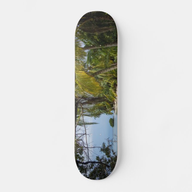 Tropical Grove Skateboard (Front)