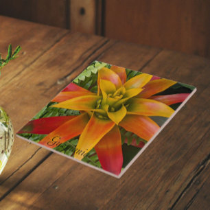 Tropical Guzmania Plant Floral Tile