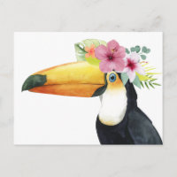 Tropical Halo - Toucan