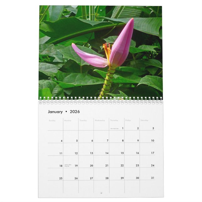 Tropical Hawaii Calendar (Jan 2026)