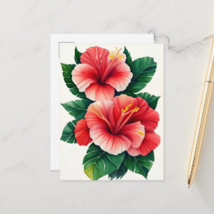 Tropical Hawaii Light Red Hibiscus Postcard