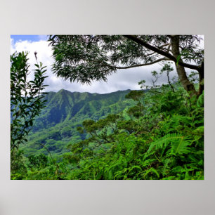Tropical Hawaii Poster