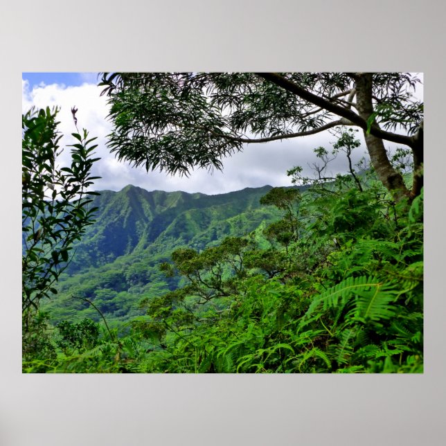 Tropical Hawaii Poster (Front)