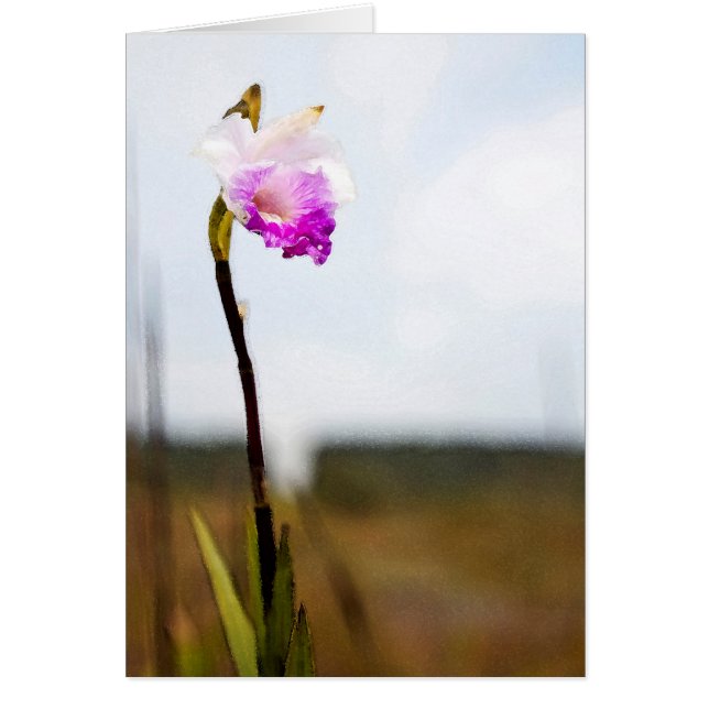 Tropical Hawaii Volcano Wild Orchid (Front)