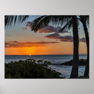 Tropical Hawaiian sunset poster