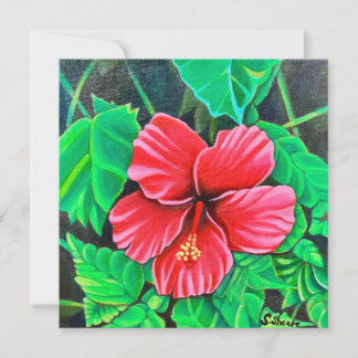 Tropical Hibiscus 