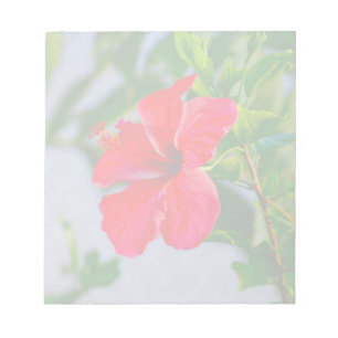 Tropical HIbiscus Floral Print Notepad