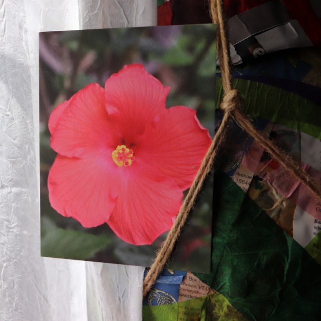 Tropical Hibiscus Flower Art Postcard (Creator Uploaded)