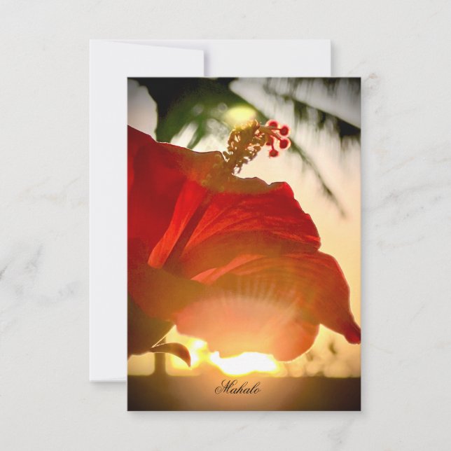 Tropical Hibiscus Thank You Card (Front)