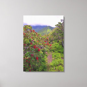 Tropical Hiking Trail Canvas Print