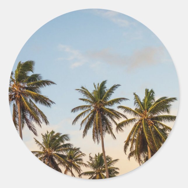 Tropical Holiday Palm Trees Classic Round Sticker (Front)