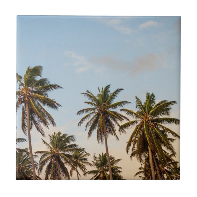 Tropical Holiday Palm Trees Tile (Front)