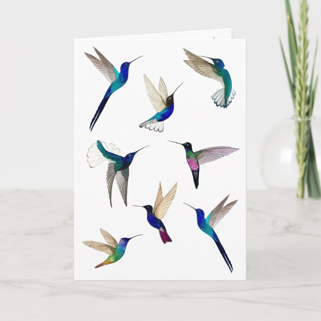Tropical Hummingbirds  Card (Front)