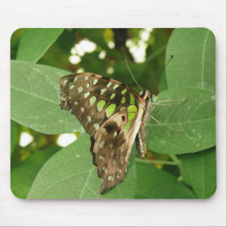 Tropical Iridescent Green Butterfly Mousepad