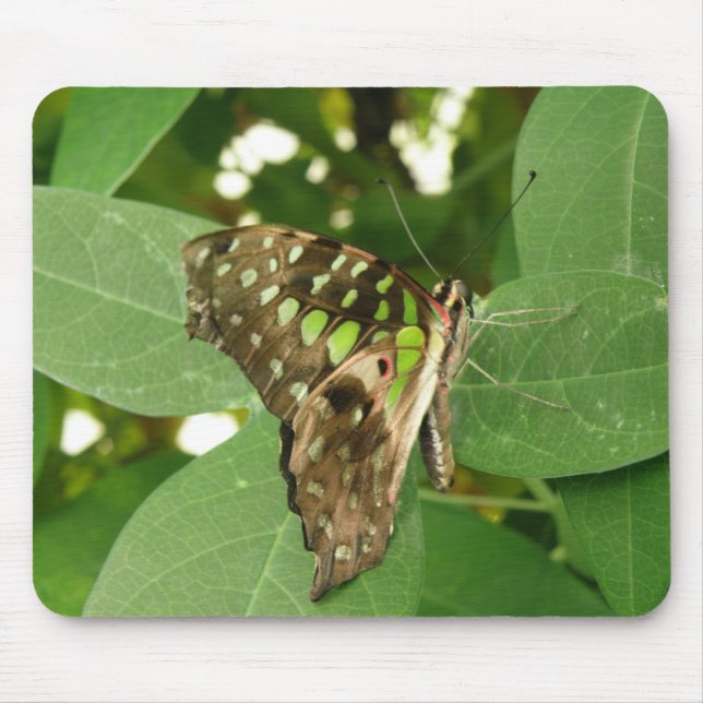 Tropical Iridescent Green Butterfly Mousepad (Front)