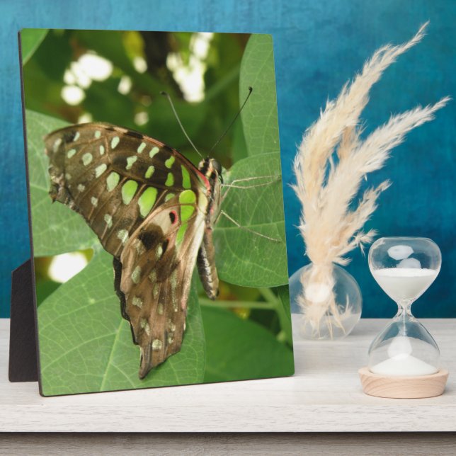 Tropical Iridescent Green Butterfly Plaque (Side)