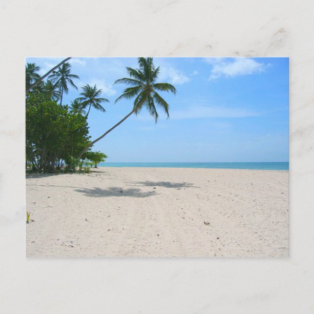 Tropical Island Beach, Seychelles) Postcard (Front)
