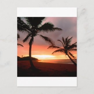 Tropical Island Palms Dominican Republic Postcard