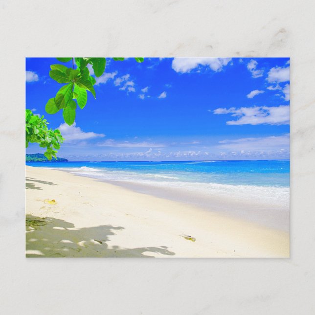 Tropical Island Retreat On White Sandy Beach Postcard (Front)