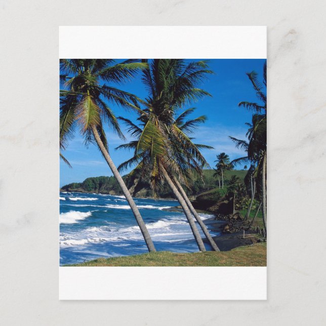 Tropical Island Summer Waves St Lucia Postcard (Front)