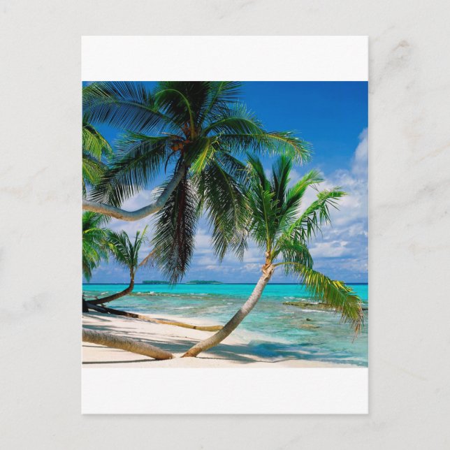 Tropical Island Tepuka Tuvalu Postcard (Front)