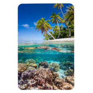 Tropical island under and above water magnet
