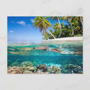 Tropical island under and above water postcard